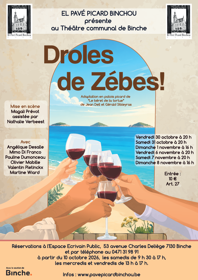 Affiche droles de zébes.png